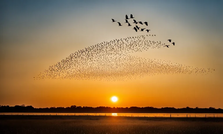 What Is A Group Of Birds Flying Together Called?