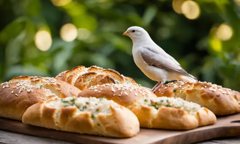 Can Birds Eat Garlic Bread? A Detailed Look