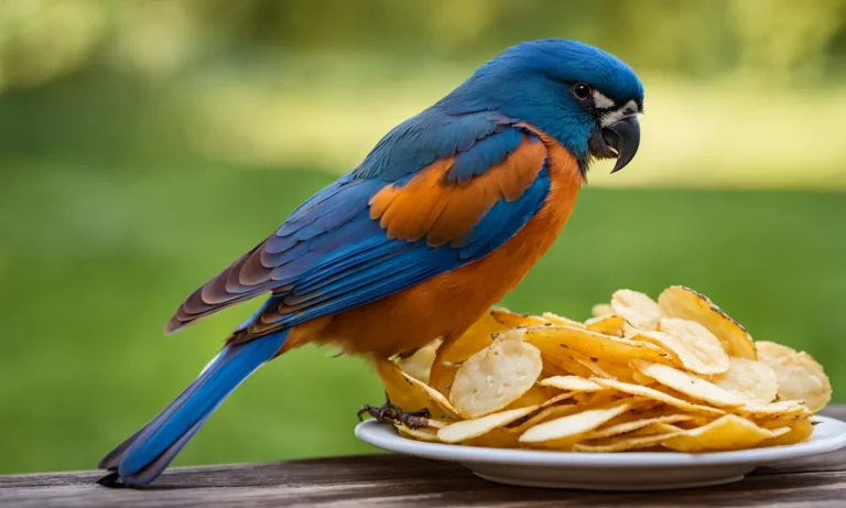 Can Birds Eat Potato Chips? A Nutritionist’S Advice
