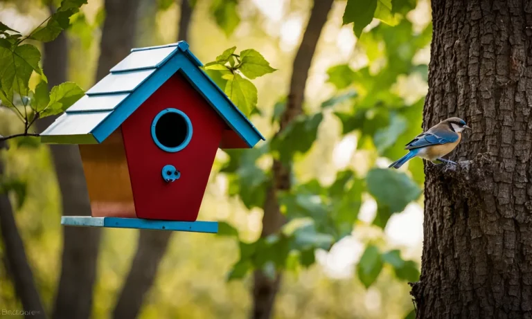 Do Birds Actually Use Birdhouses? Understanding Birdhouse Occupancy