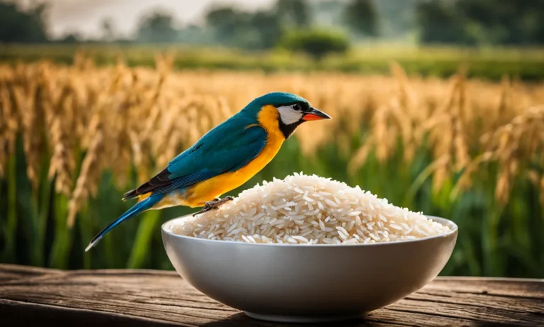 Do Birds Explode When They Eat Rice? Examining This Urban Myth