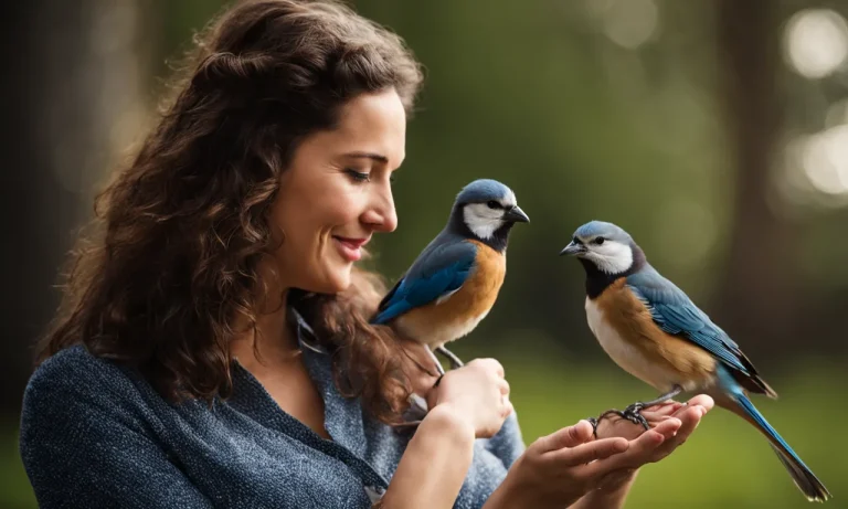 Do Birds Like Being Pet?