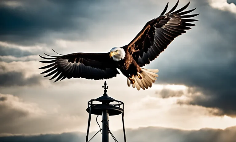 The Symbolism And Meaning Of An Eagle Atop A Flagpole