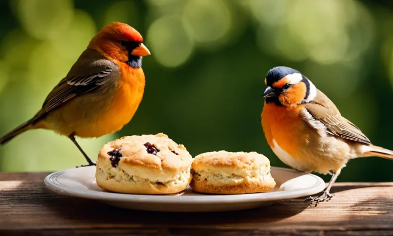 Feeding Two Birds With One Scone: A How-To Guide