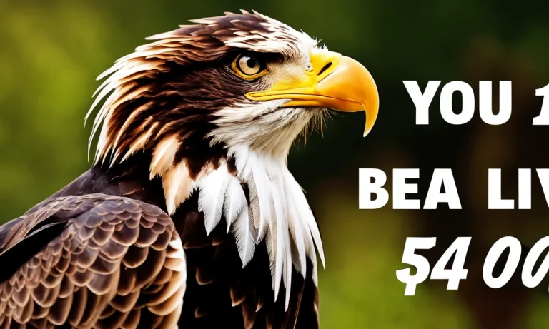 How Much Is A Bald Eagle Feather Worth? A Detailed Look