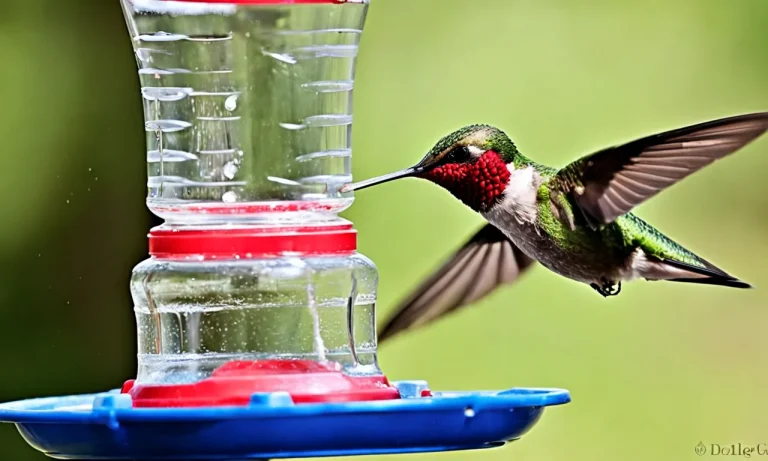 How To Thoroughly Clean Your Hummingbird Feeder