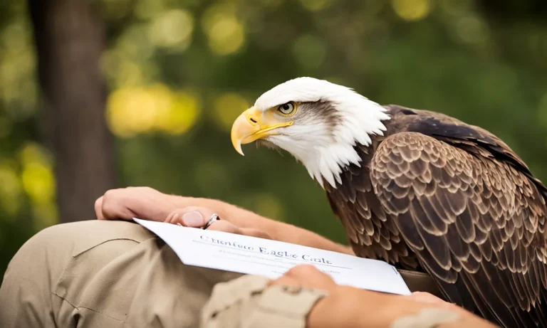 How To Verify If Someone Is Really An Eagle Scout