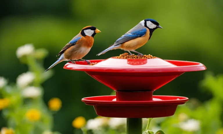 Plants That Grow From Bird Seed: A Comprehensive Guide