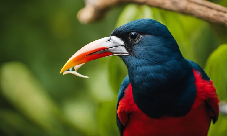 Why Do Birds Grind Their Beaks? The Surprising Reasons Behind This Behavior